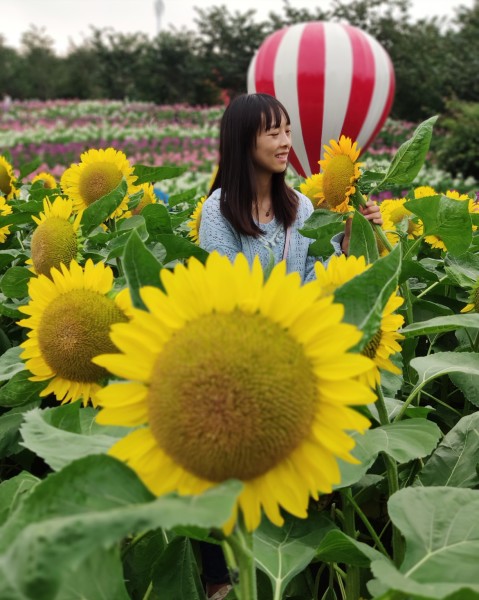 会动的植物都有哪些 wKgED1u3bWSAX_0iABF7Lugrrqw58.jpeg?imageView2%2F2%2Fw%2F600%2Fh%2F600%2Fq%2F90