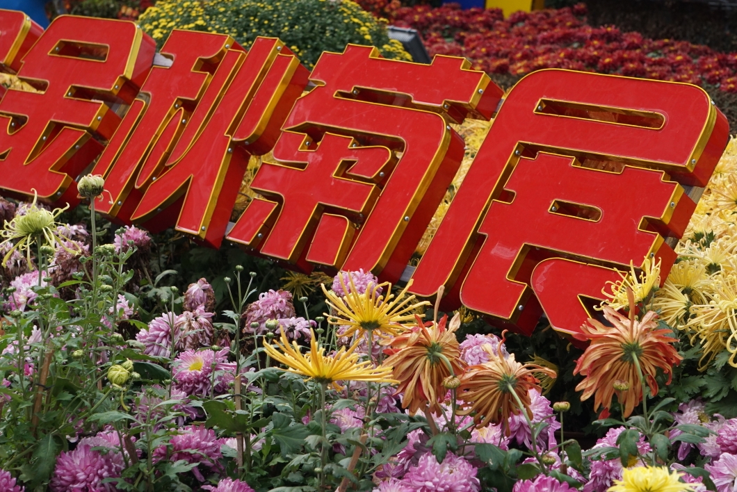 武汉解放公园菊花展