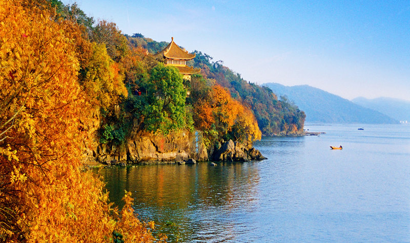 无锡鼋头渚景区电子票 百年鼋头渚风景区 近距离观察红嘴鸥 (不含太湖