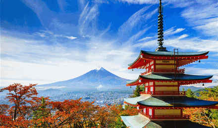 【精品团】沈阳出发日本名古屋 大阪 奈良 富士山 东京6天5晚跟团半