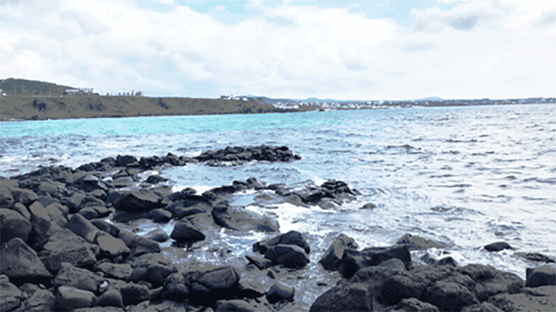 你好,初次见面,济州岛