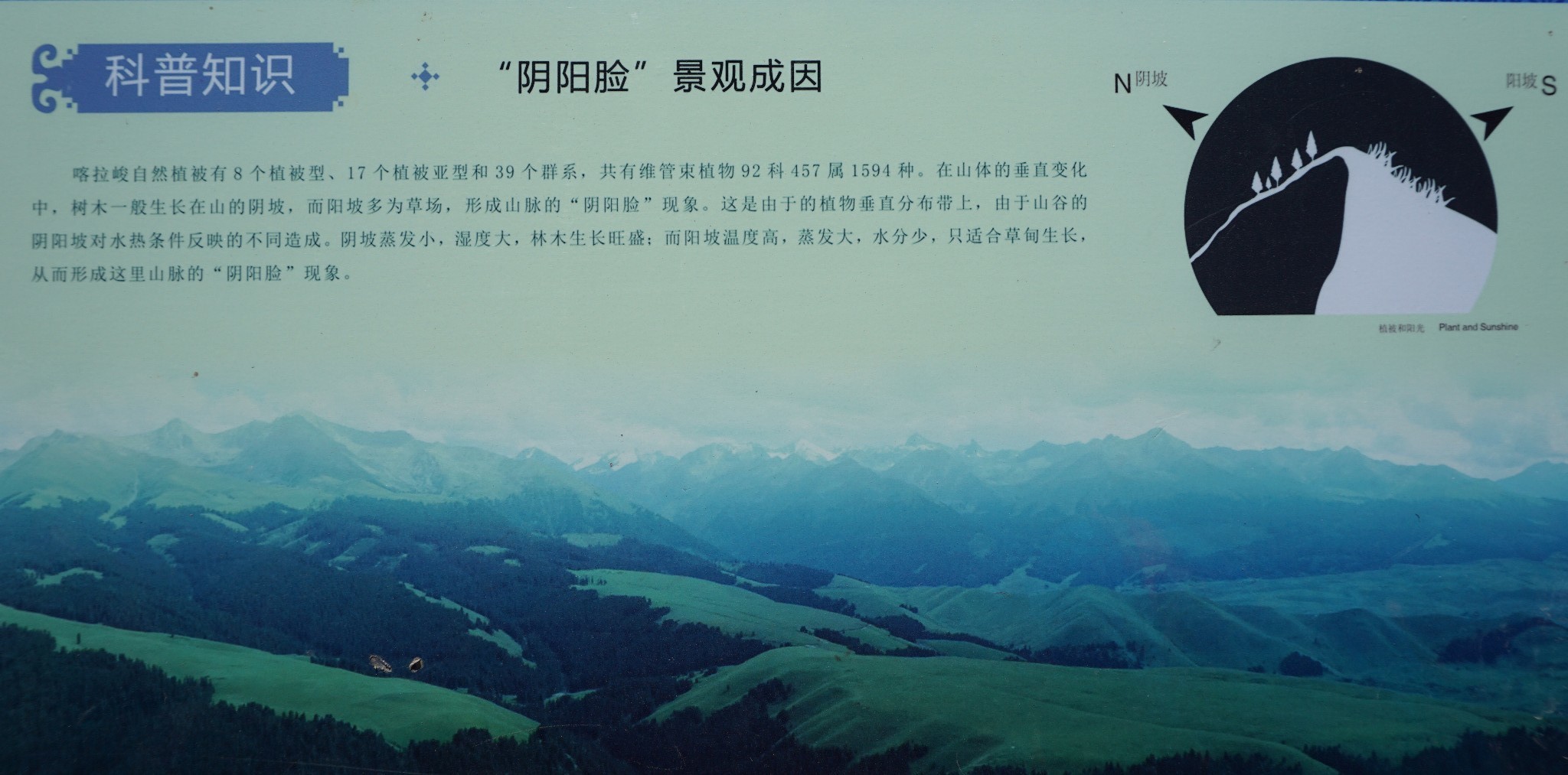 wKgED1uKSbuAf0_4AAWJOTZ4k_I51.jpeg?imageView2%2F2%2Fw%2F600%2Fh%2F600%2Fq%2F90