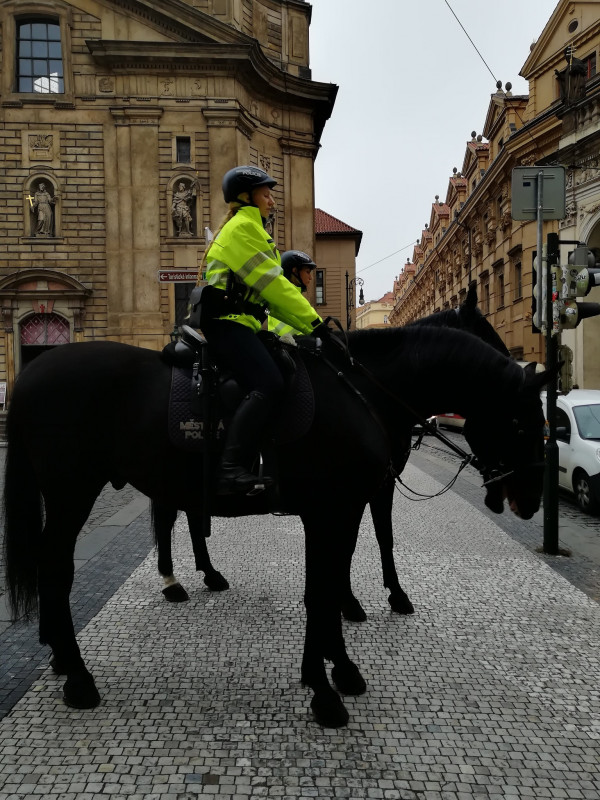 捷克 奥地利 德国 马耳他 意大利自由行,马耳他旅