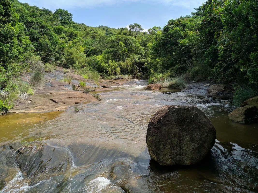 探秘深圳十八峰之打鼓岭