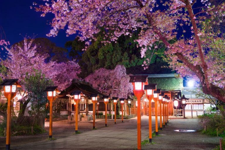 平野神社夜樱祭