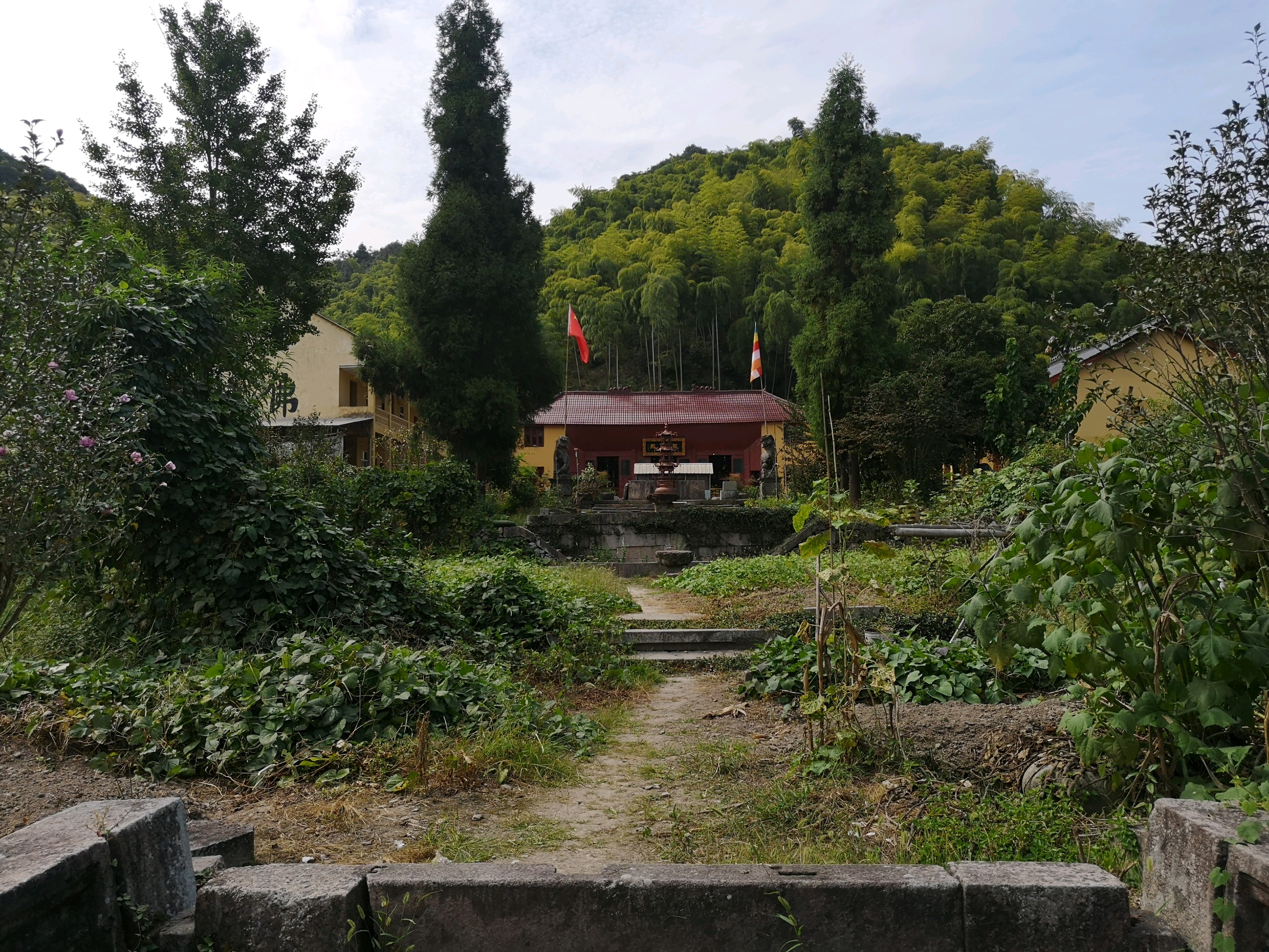 西径山旅游图片