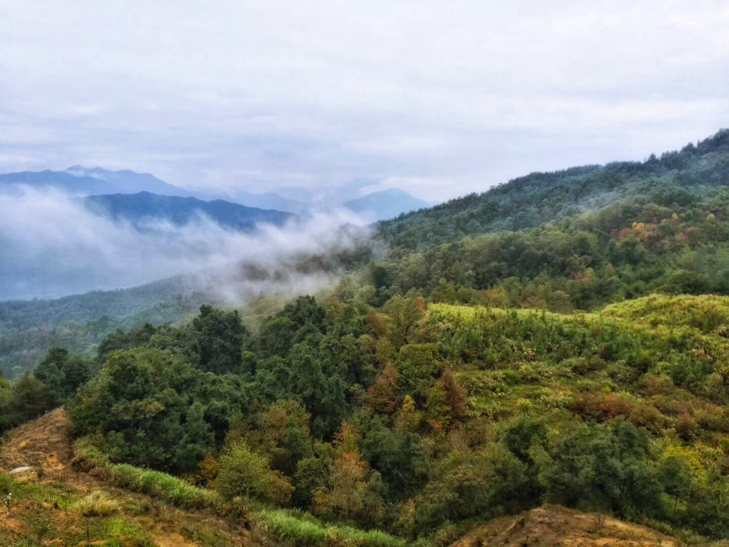 云南到靖安旅游