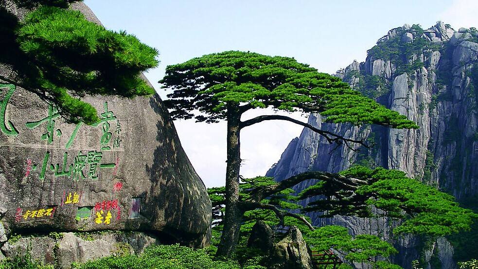 【纯玩零购物】北京出发 黄山 西递宏村 千岛湖双卧3晚6天跟团游(纯玩