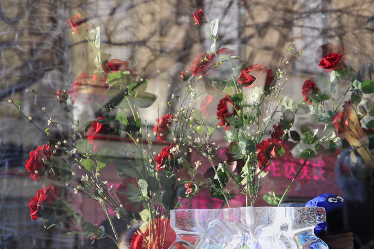 冬天去哈尔滨和漠河好玩吗?会不会冷得根本玩