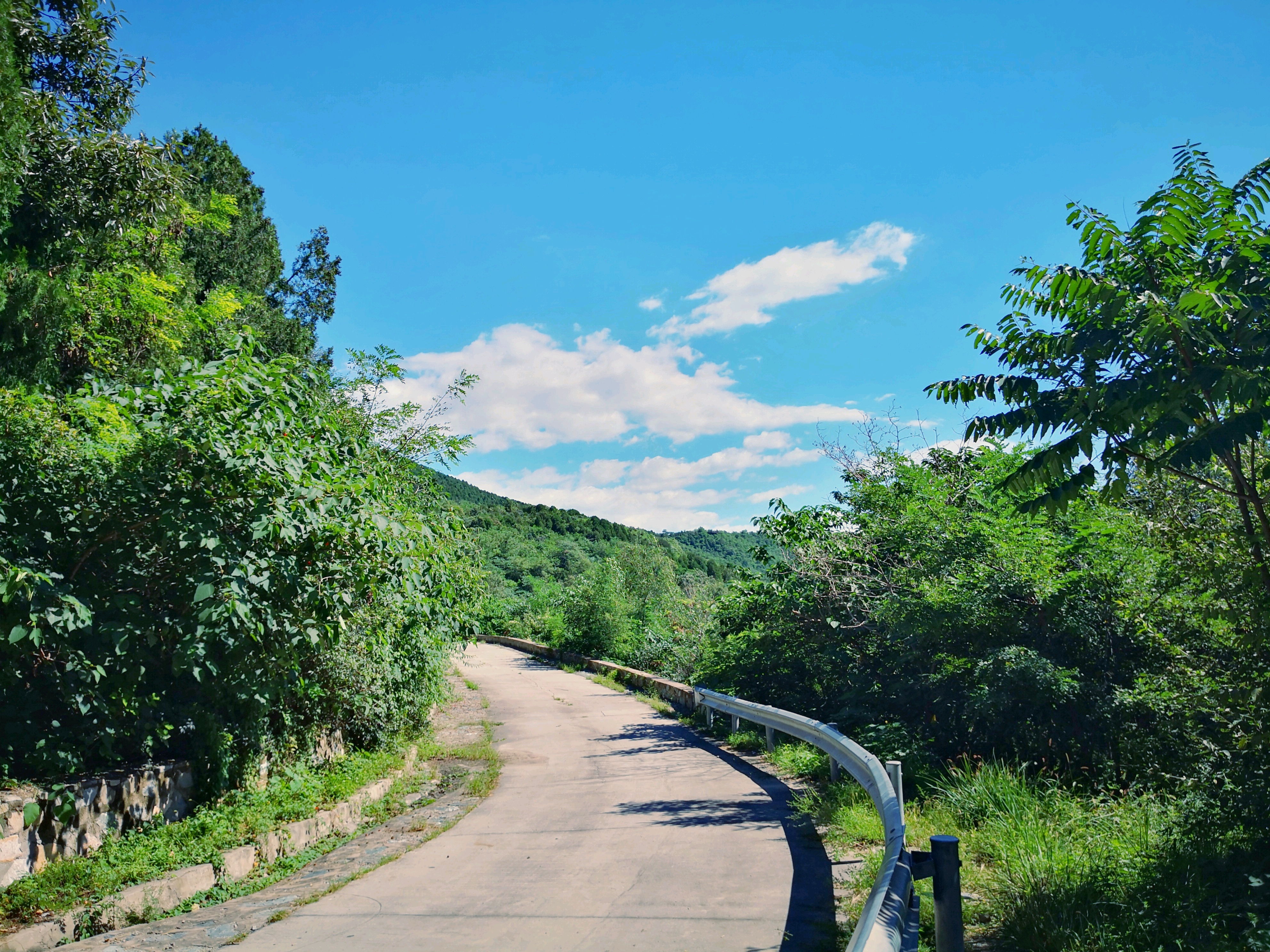 北京西山国家森林公园