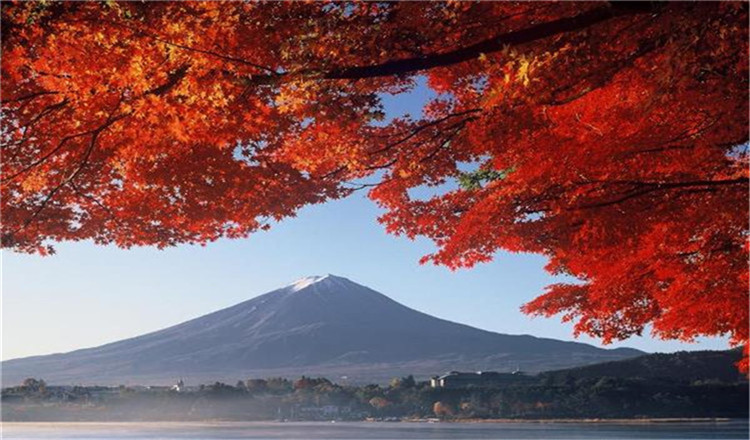 东京往返富士山青木原树海熔岩洞窟探险一日游英语导游同行