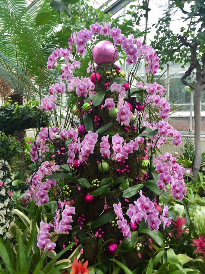 wKgED1w7NEuANyl1AAQLQsbHpMQ12.jpeg?imageView2%2F2%2Fw%2F600%2Fh%2F600%2Fq%2F90