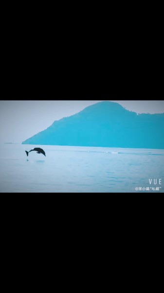 虎鲸视频海豚 wKgED1uy61KAJzN_AAC9uOOl5Dw67.jpeg?imageView2%2F2%2Fw%2F600%2Fh%2F600%2Fq%2F90