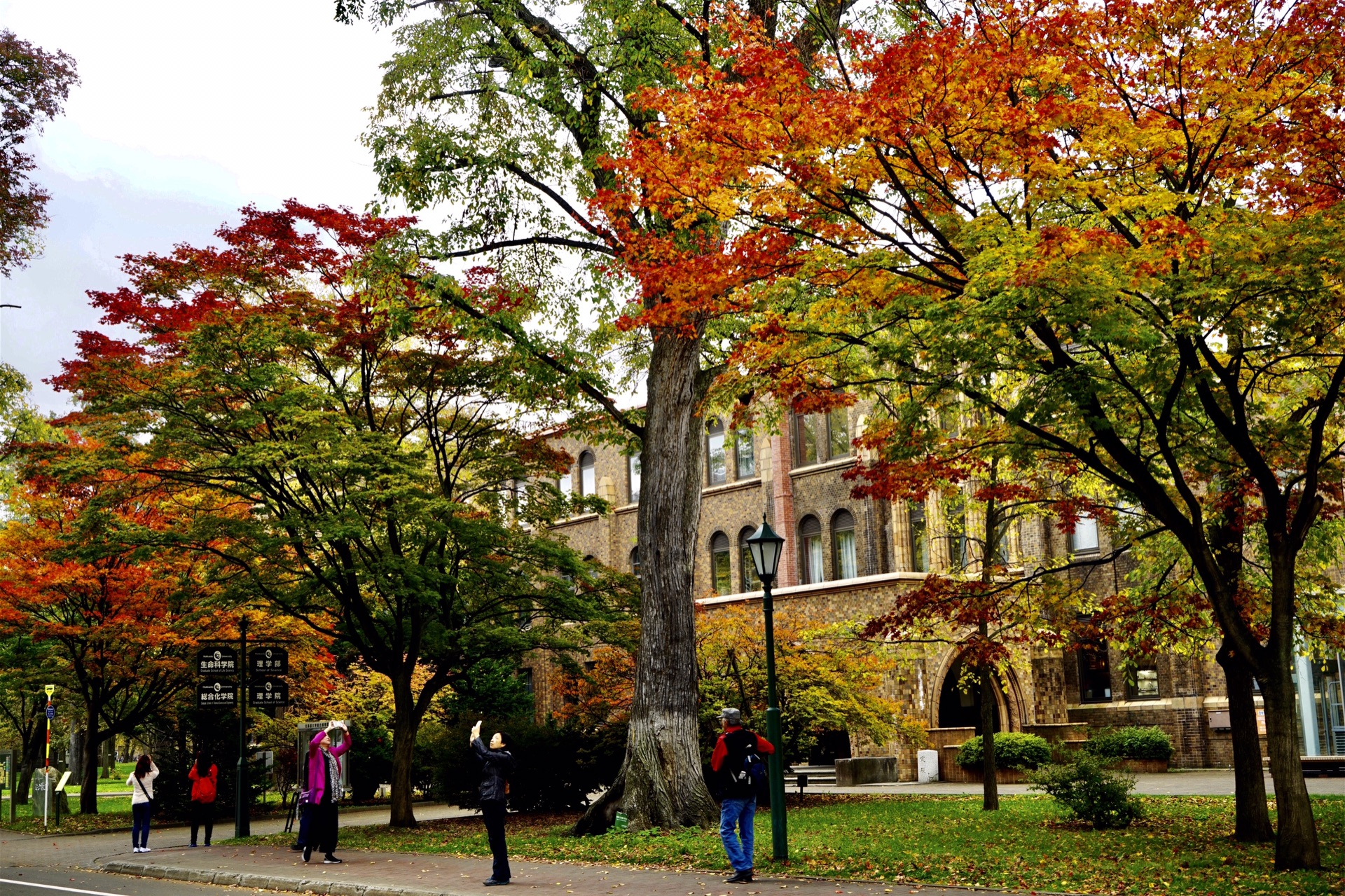 北海道大学札幌校区      