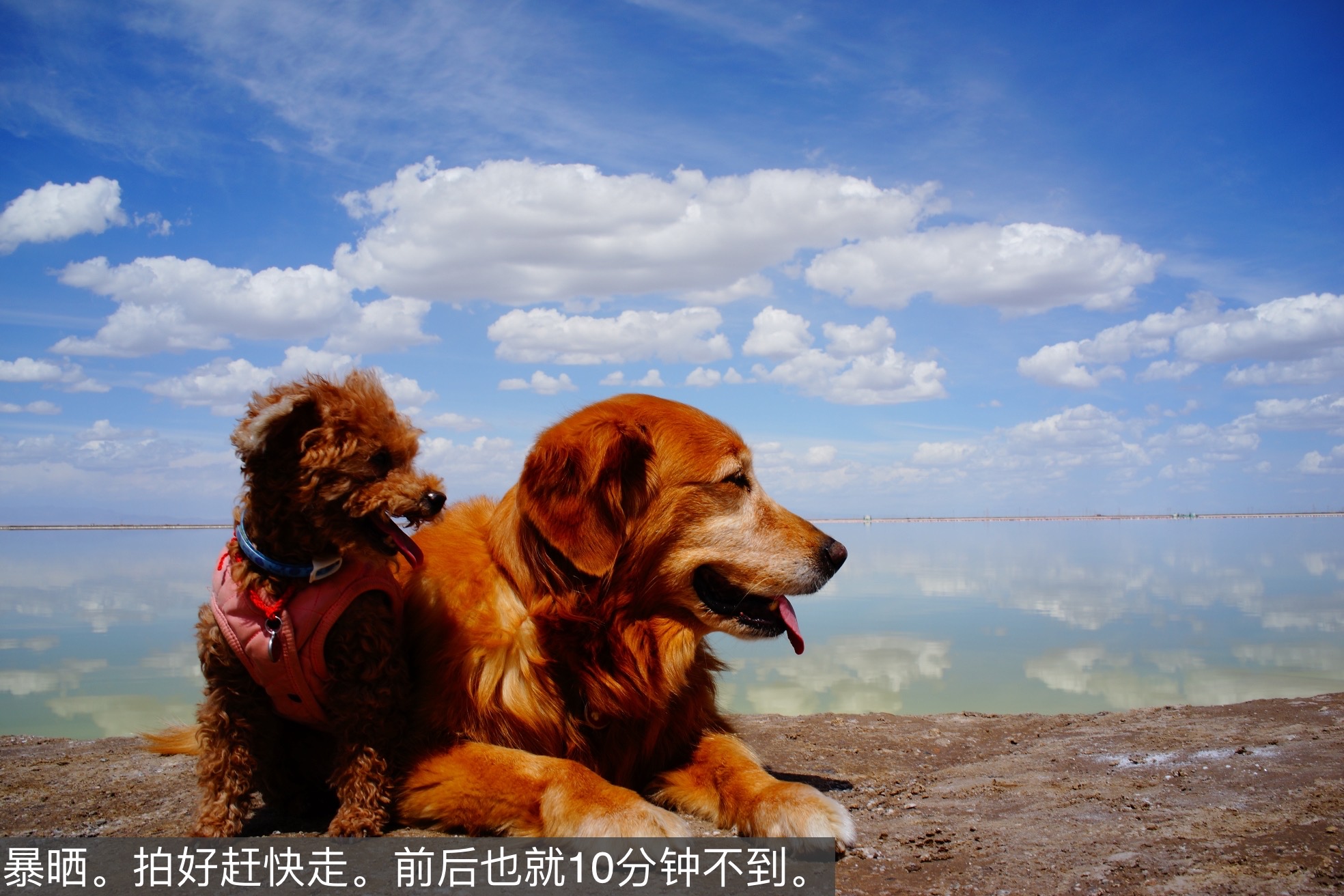 wKgED1vqKvqABx5VAAeDaO2jmUU79.jpeg?imageView2%2F2%2Fw%2F600%2Fh%2F600%2Fq%2F90