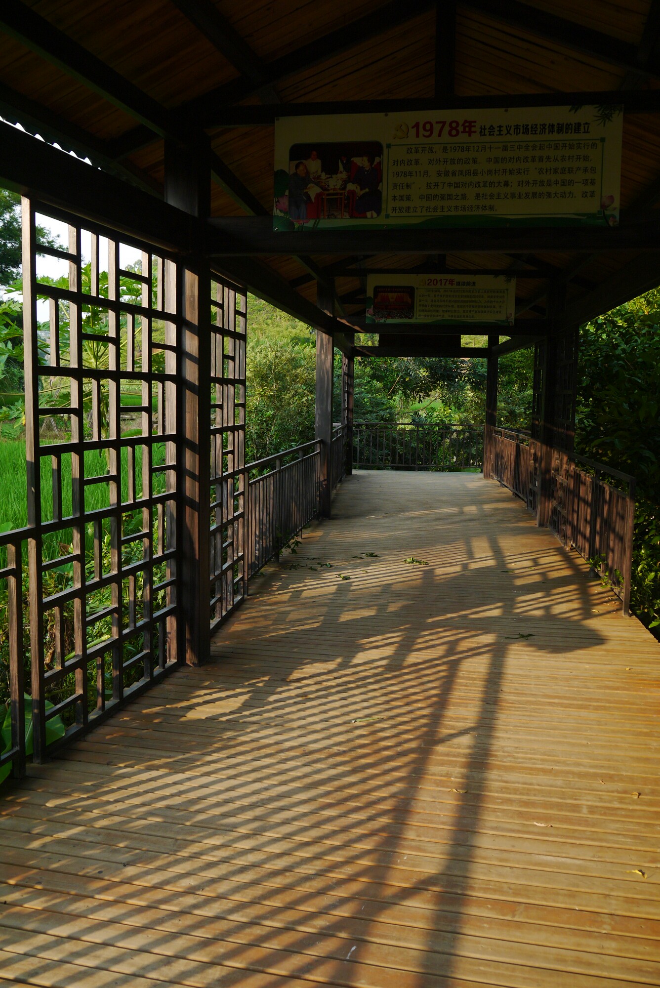 2018-9-12 信宜市山背村 丁堡森林公园