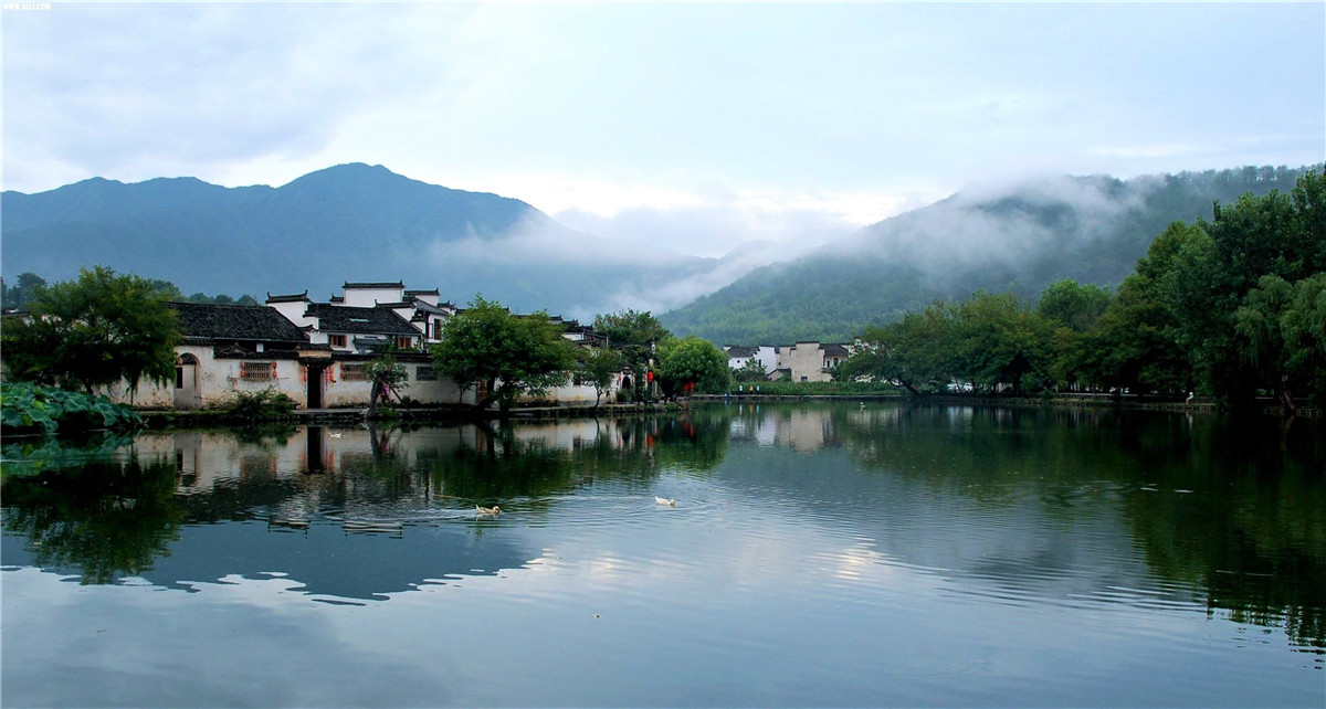 黄山西递景区门票 周边景点优惠联票 (宏村景区门票/塔川/西递石林/木