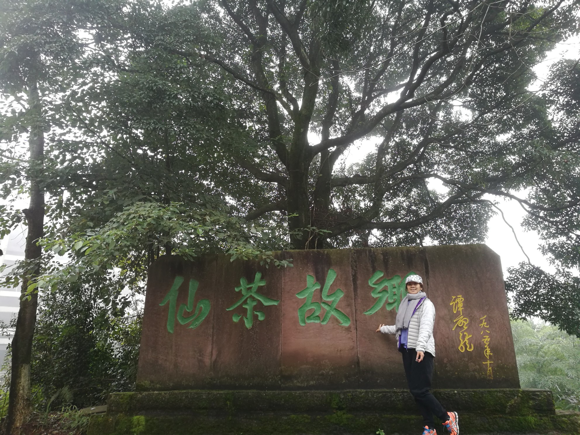 看秋色,品仙茶～蒙顶山之行,雅安旅游攻略 - 马蜂窝