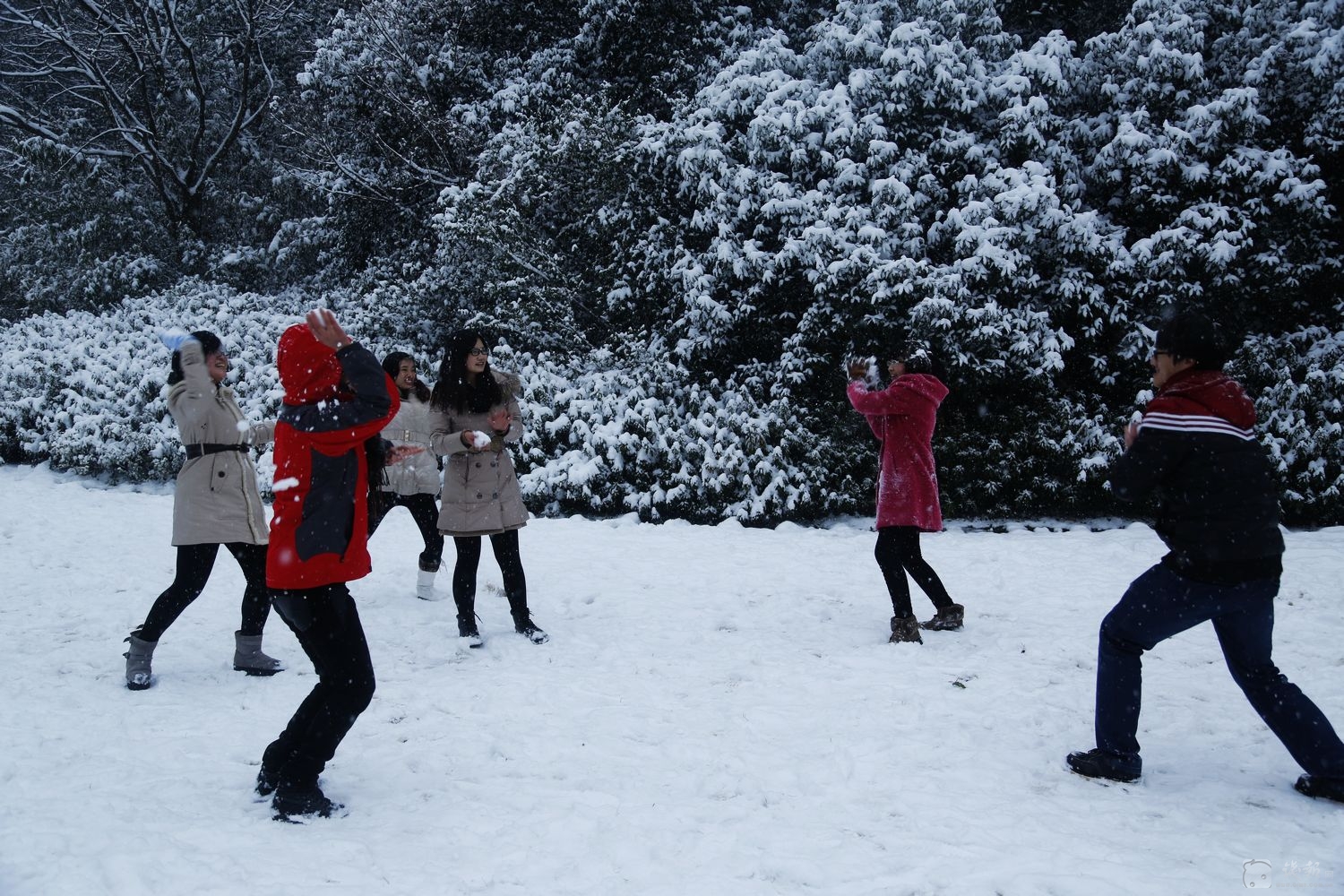 打雪仗,是小时候我们每年冬天必玩的游戏,几个