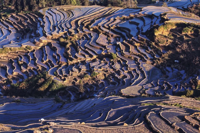 我打算3月7,8号去元阳,看元阳看天气都是有雨,建议去吗