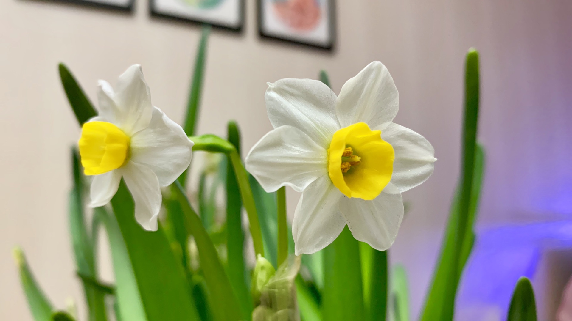 wKgED1wvW0yAZbiHAAPGcN-05Uw65.jpeg?imageView2%2F2%2Fw%2F600%2Fh%2F600%2Fq%2F90