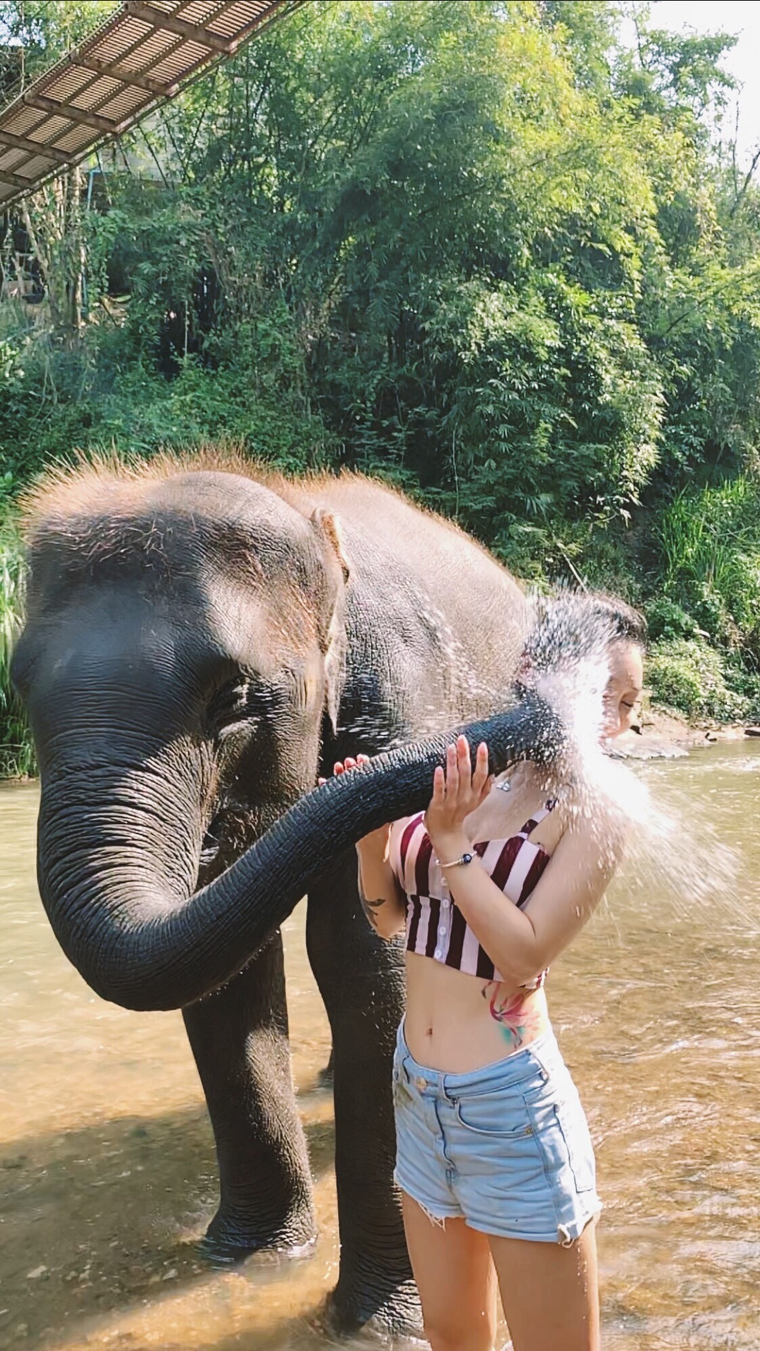 The happiness of being awakened by an elephant