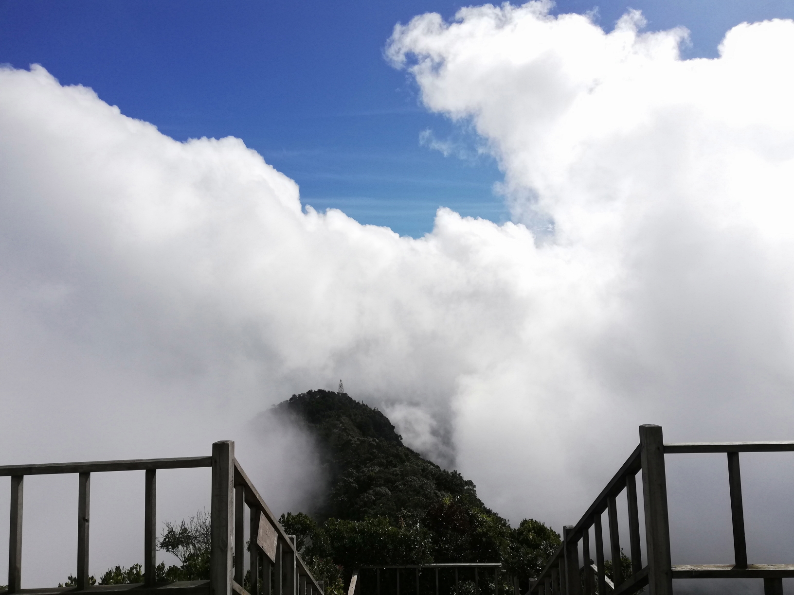 难忘的一人游：尖峰岭国家森林公园