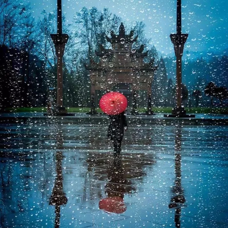雅雨