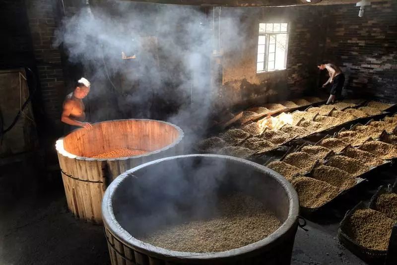 南浔古镇城郊的辑里村,百年来保留着传统的酿酒工艺