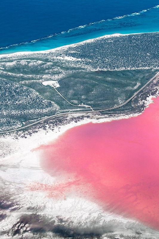 hutt lagoon(图片来源于网络)