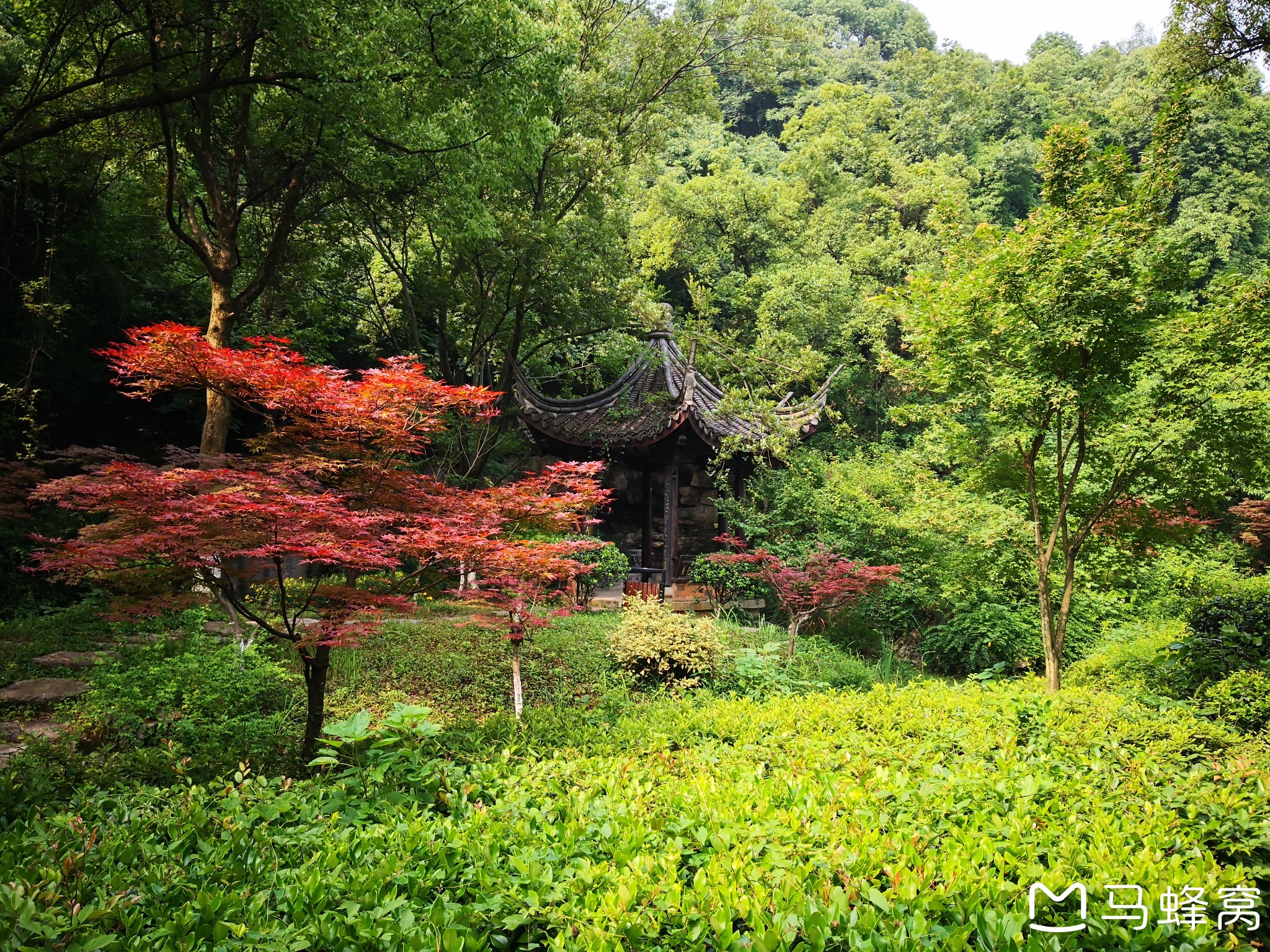 6月2日周日游览杭州市余杭区的"超山风景区"的"南园"景区