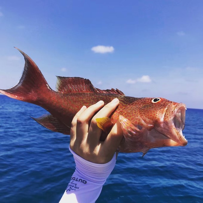 西沙群岛几月去风浪小天气好