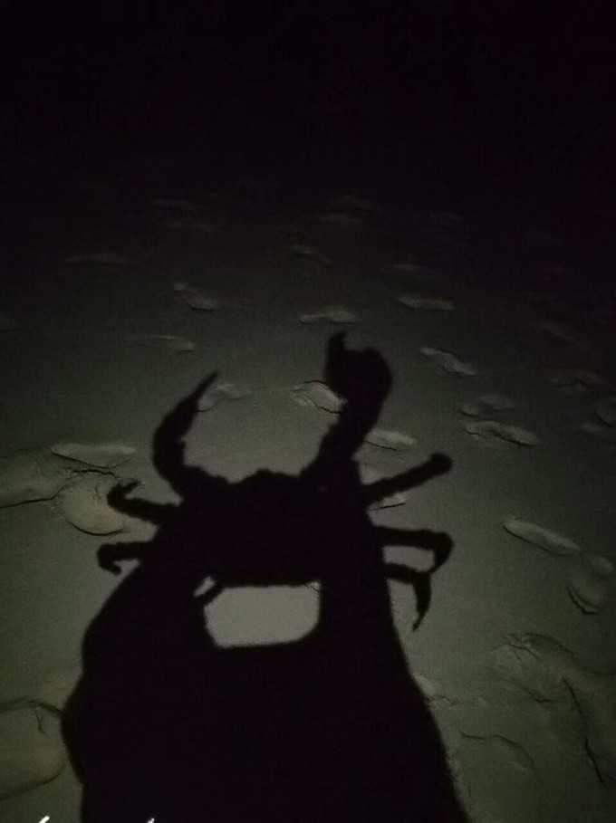 西沙群岛几月去风浪小天气好