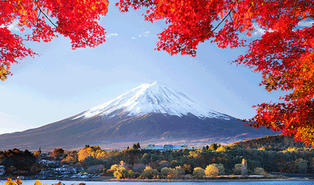 香港直飞日本本州大阪 京都 富士山 东京6天5晚跟团游