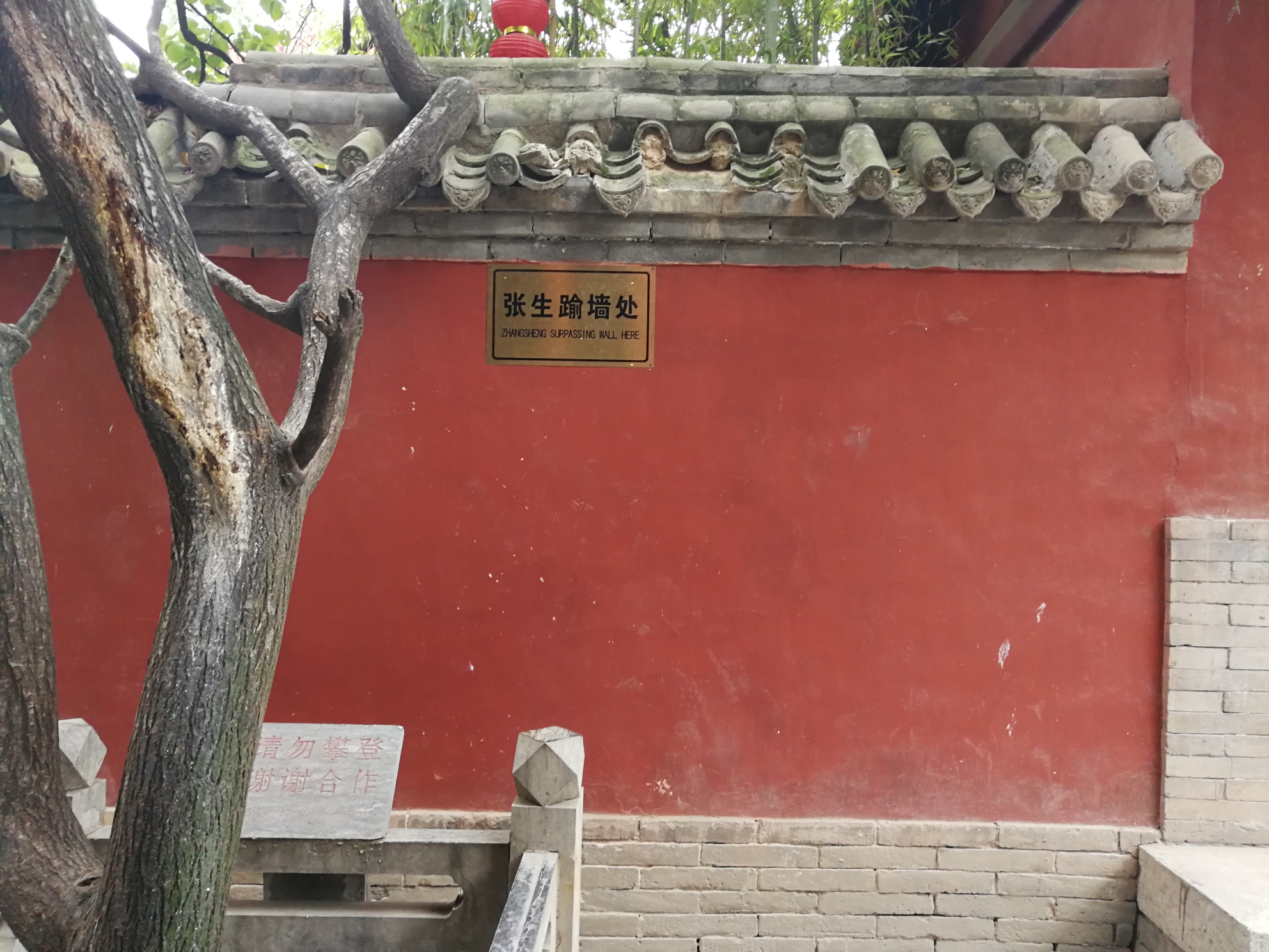 山西永济行——游普救寺,蒲津渡遗址,鹳雀楼