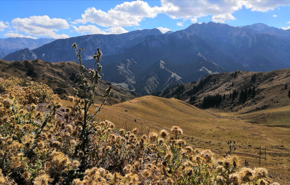 霍城旅游图片,霍城自助游图片,霍城旅游景点照片 - 马蜂窝图库 - 马