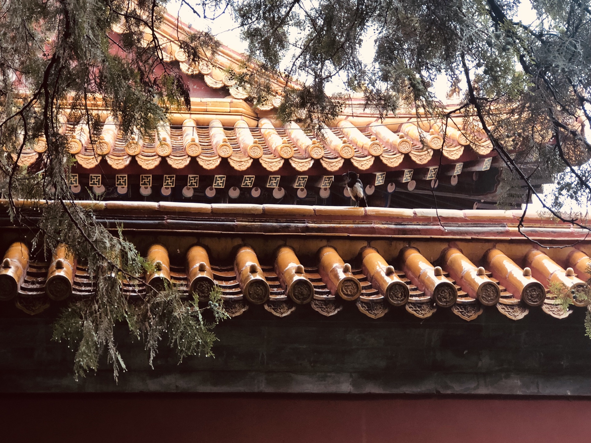 什么敬仰成语_成语故事简笔画