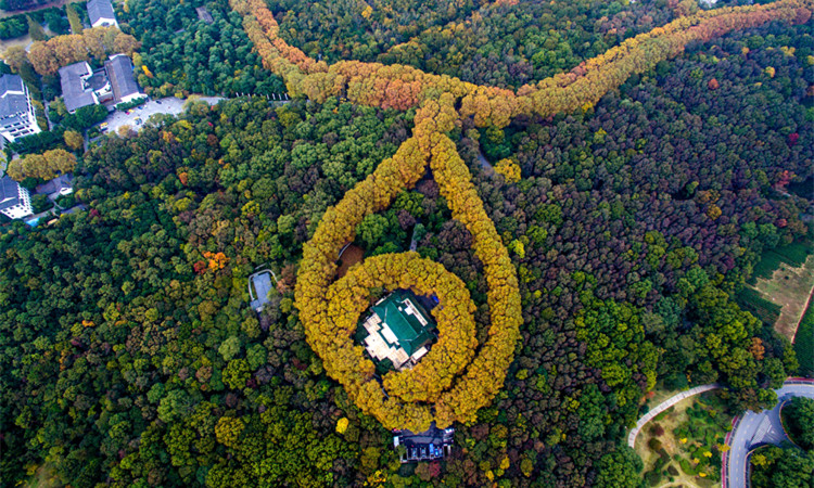 刷码快速入园 明孝陵 美龄宫成人门票 南京钟山风景区