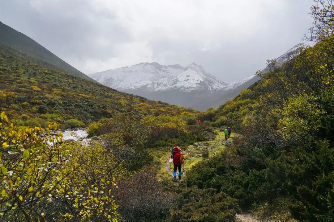 计划17天,行至第8天营地下撤,总用时14天 看点:原始森林,冰川雪山,念