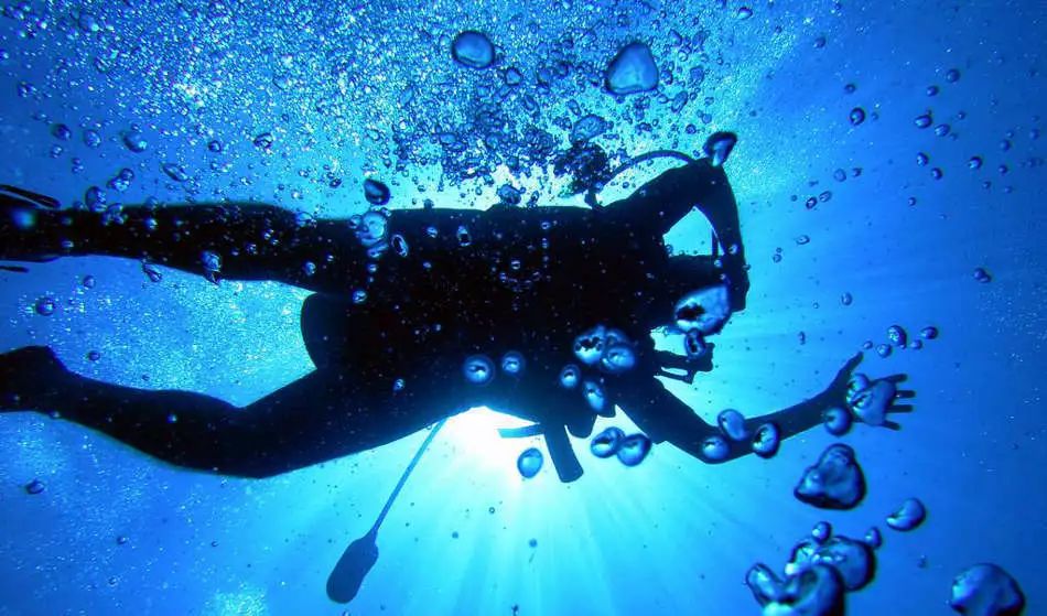 关注潜水和滑雪微信公众号:蓝之域oceanpedia