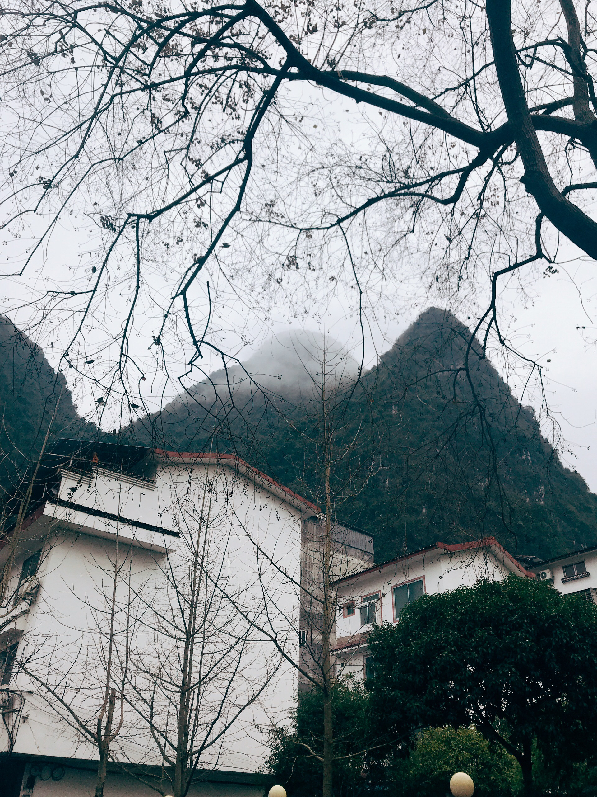 阳朔美食-小花园咖啡