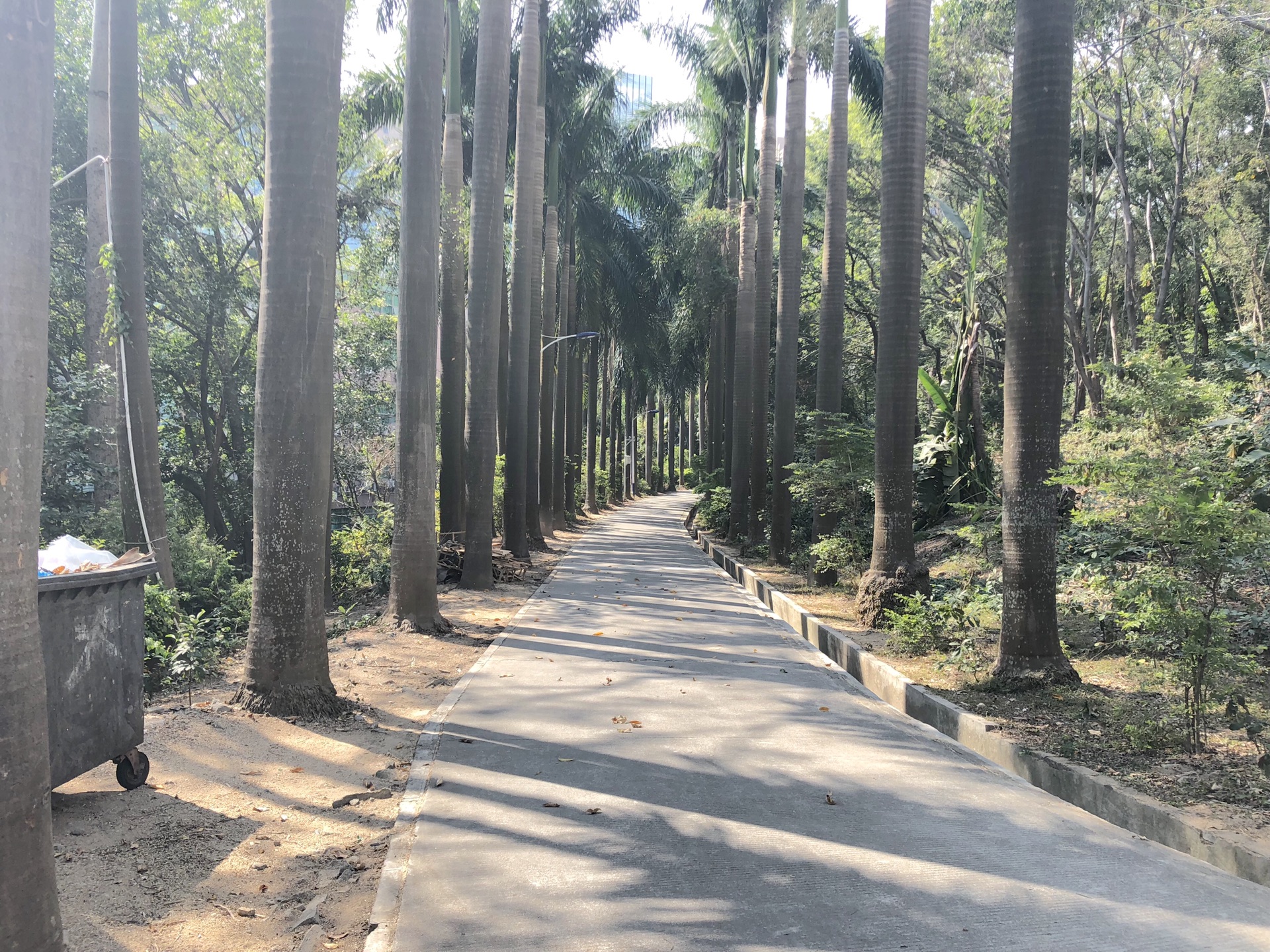 广东省深圳市宝安区流塘公园