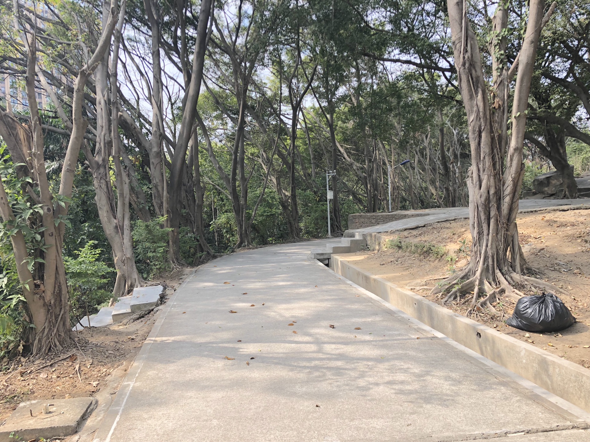 广东省深圳市宝安区流塘公园