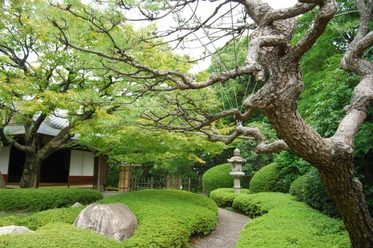                          松风园