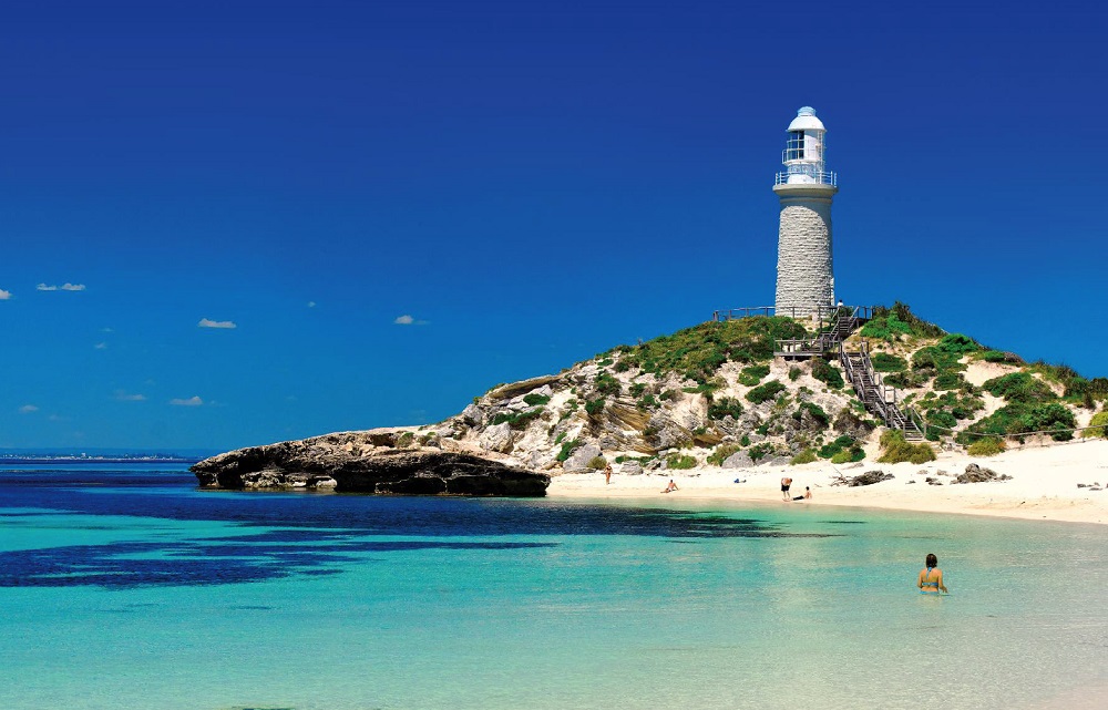 罗特尼斯岛(rottnest island),是西澳特有的物种短尾矮袋鼠quokka的