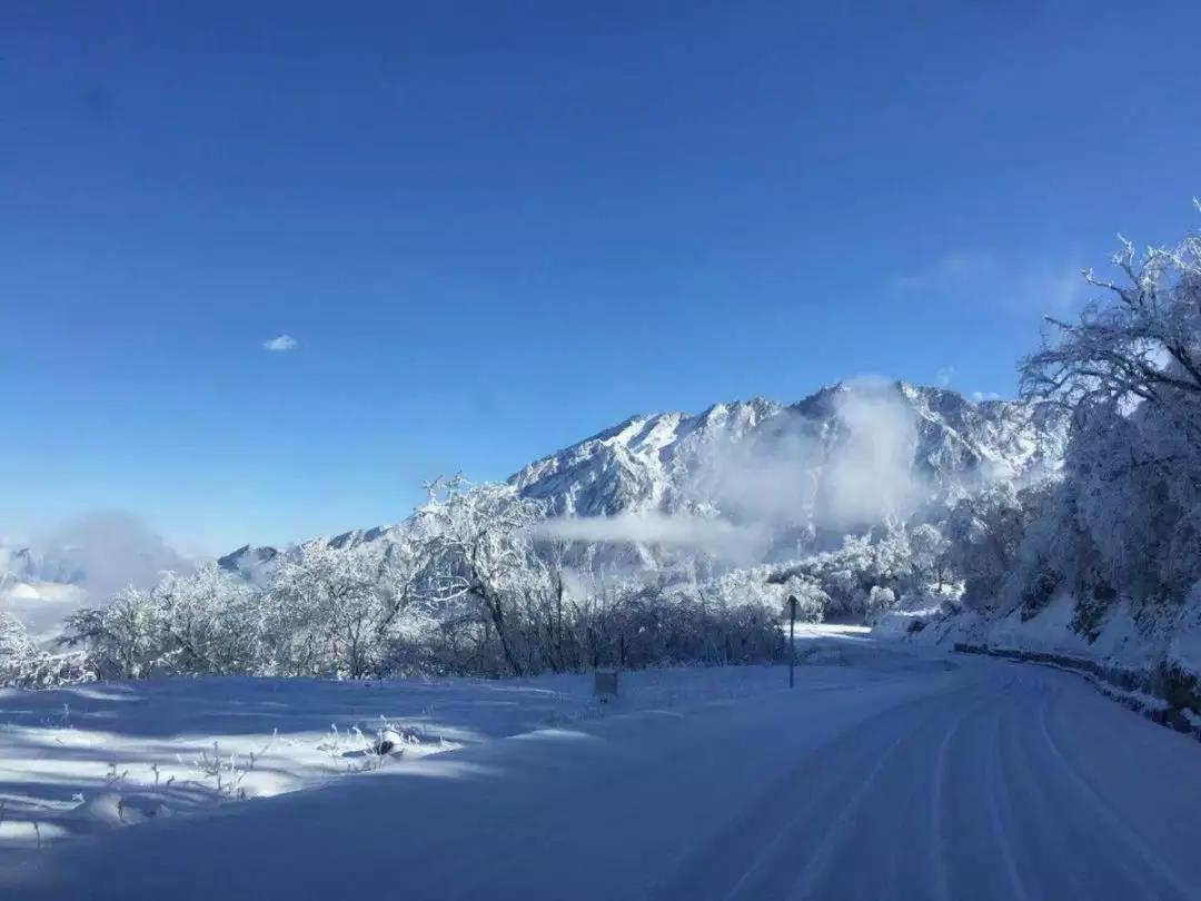 太子岭下雪了这绝对是最美的风景