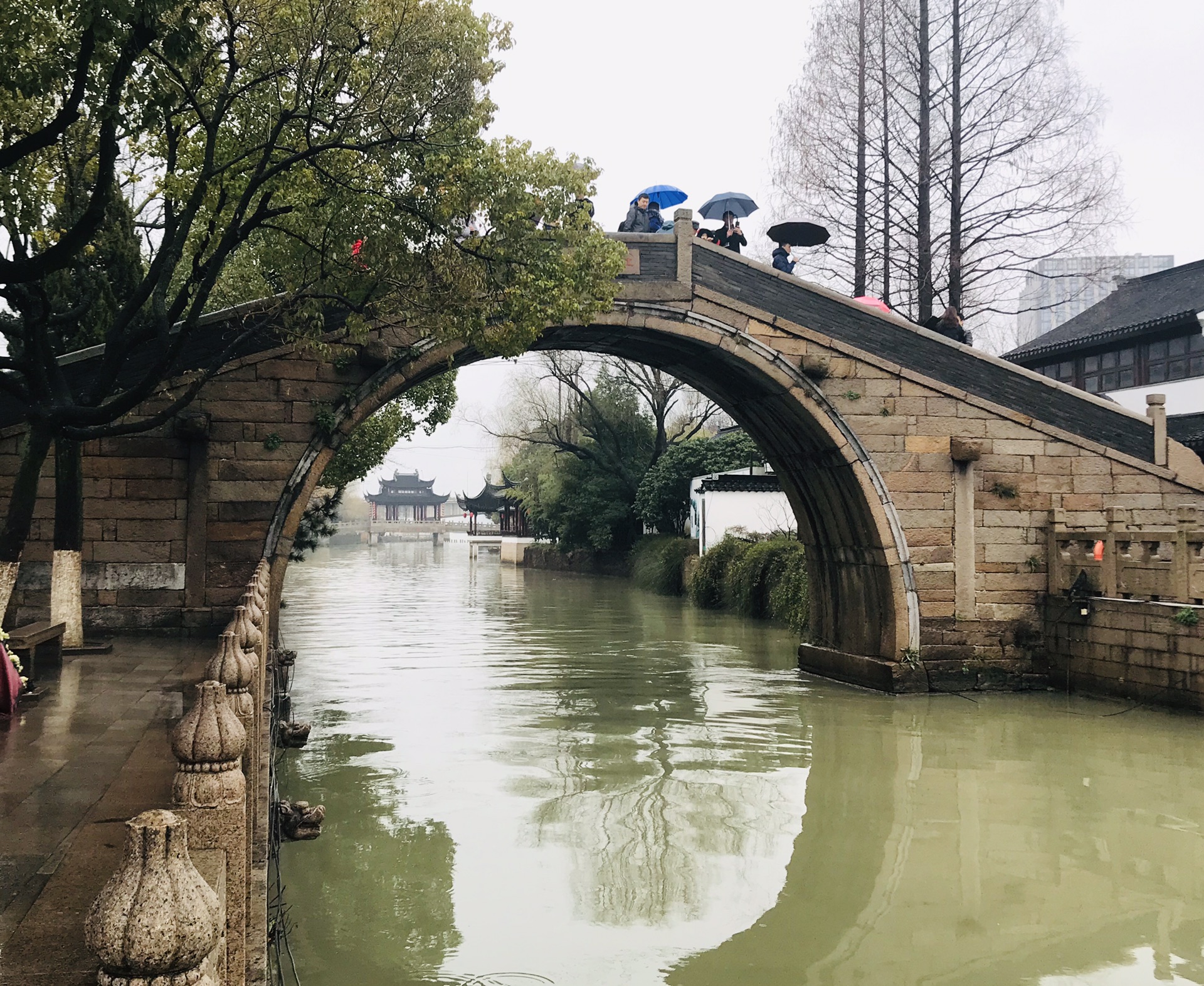 烟雨江南 上海-乌镇-苏州八天自由行