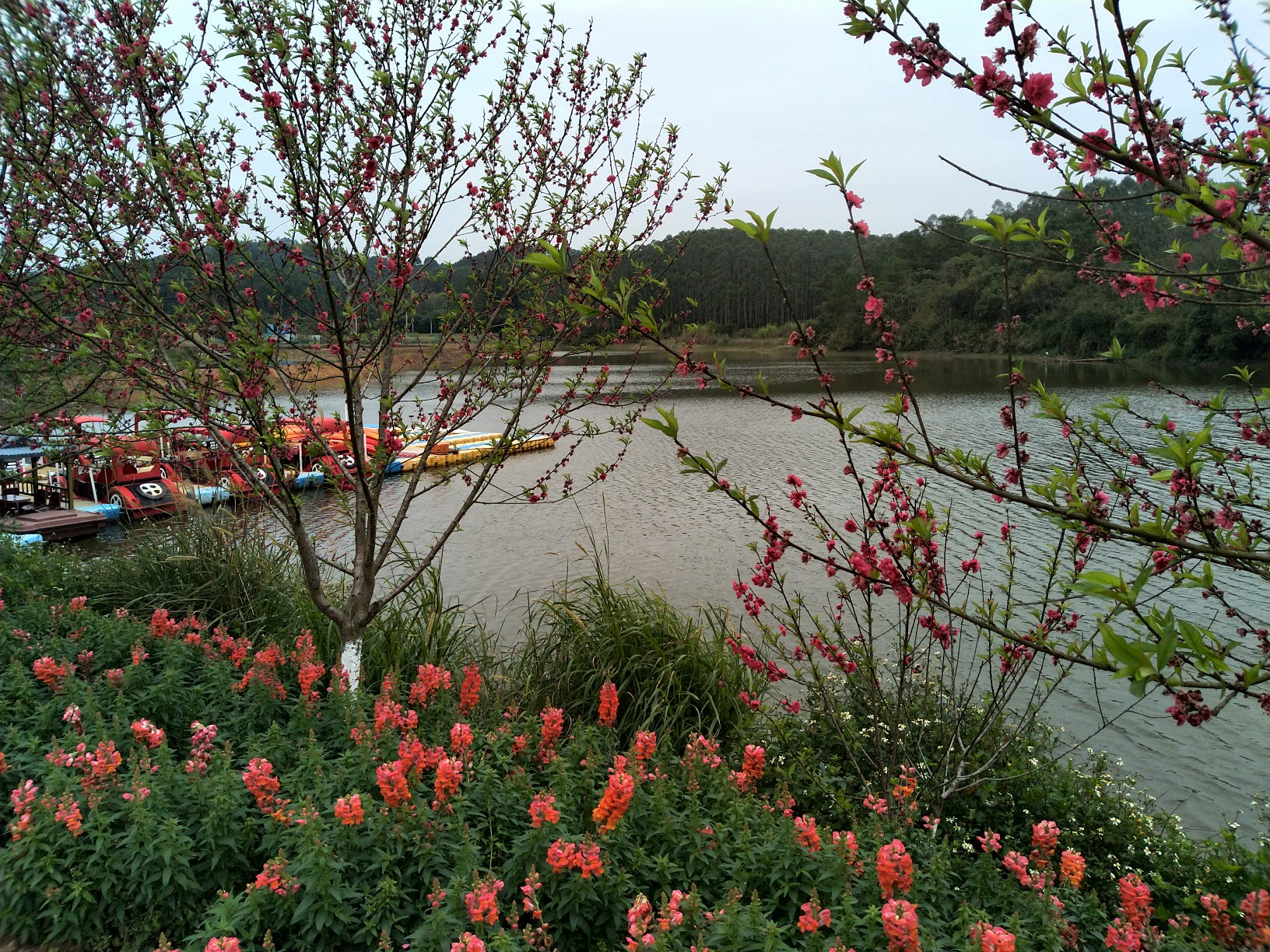 南宁花雨湖