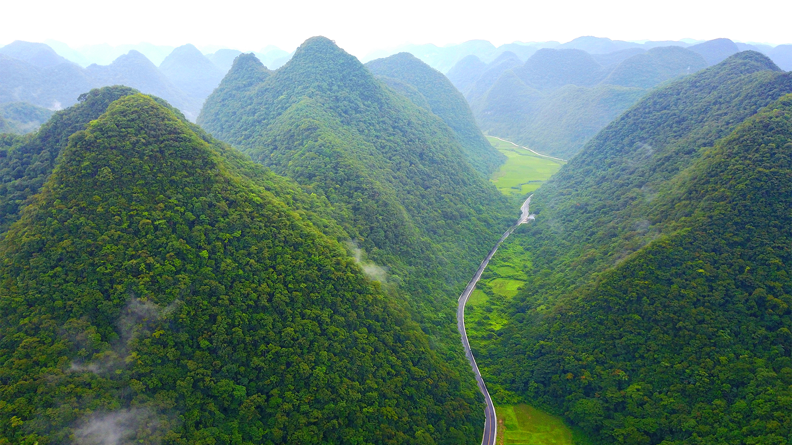 贵州荔波茂兰景区大门票(原始森林徒步与自驾圣地 中国最美十大森林之