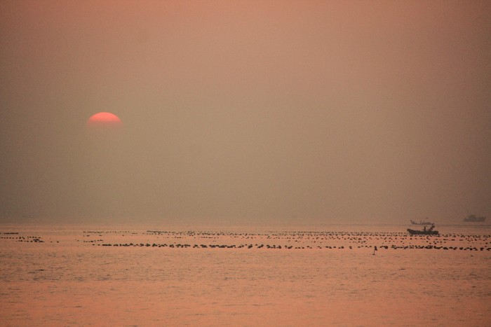 南澳岛几月去游玩最适宜